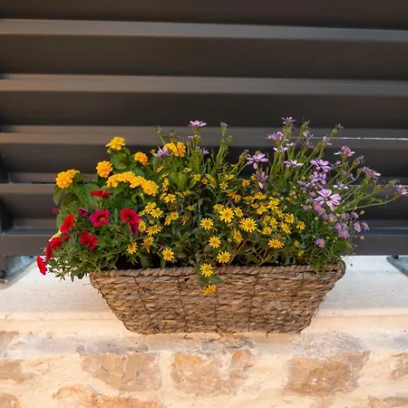 House Blazov Dvor By Tourist Adria Group בית נופש